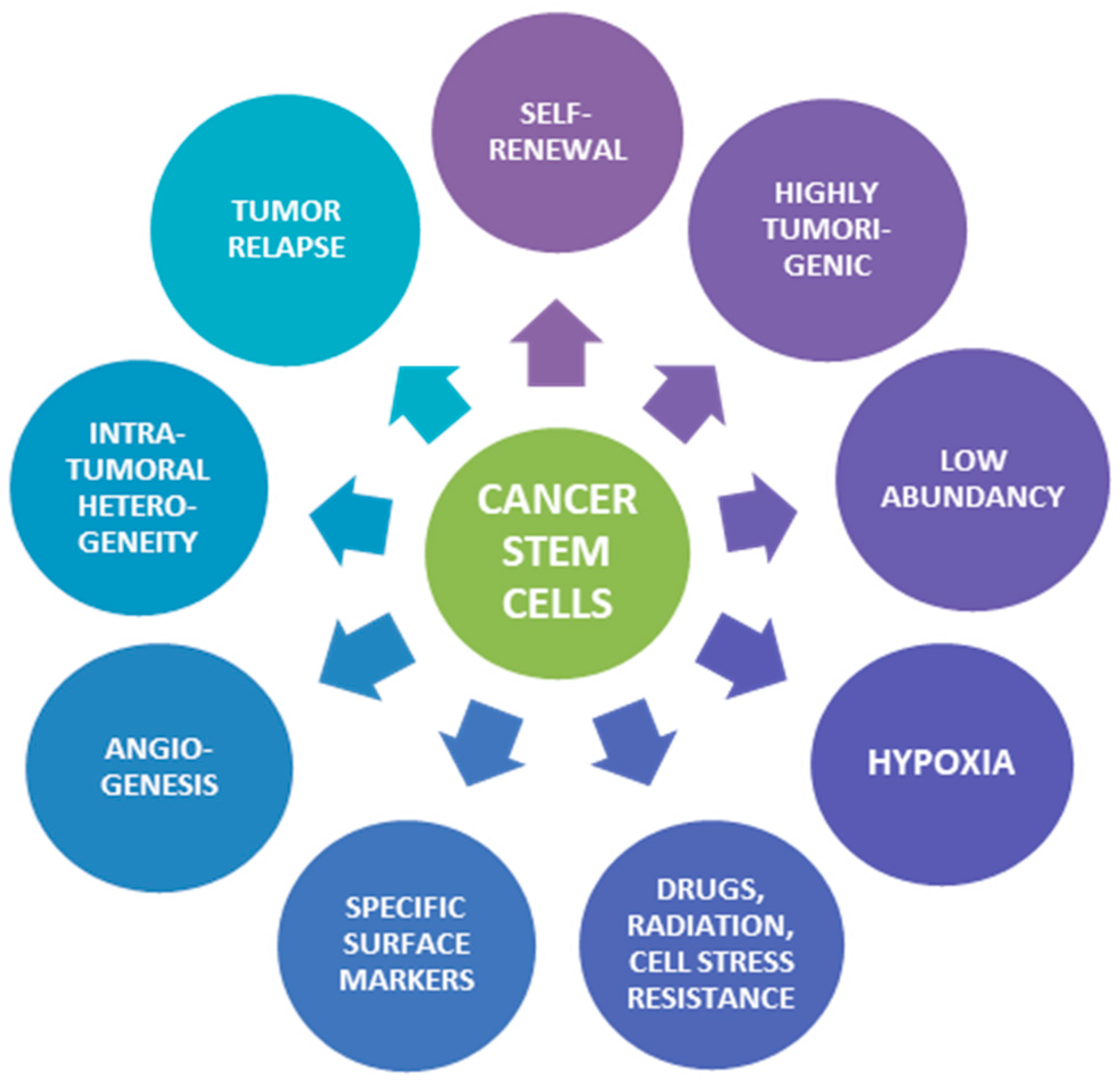 Read more about the article How To Kill Cancer Stem Cells
