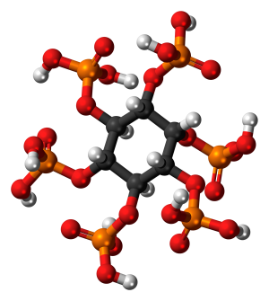 Phytic_acid_molecule_ball